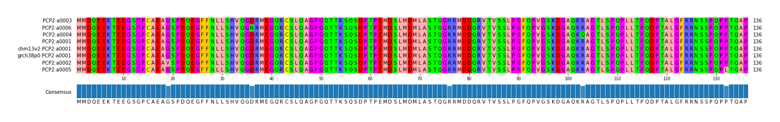 Multiple Alignments (by translate haplotype similarity)