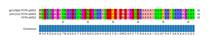 Multiple Alignments (by translate haplotype similarity)