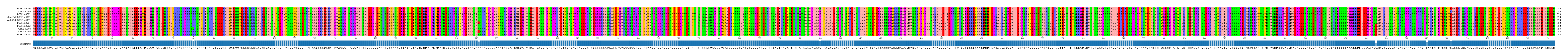 Multiple Alignments (by translate haplotype similarity)