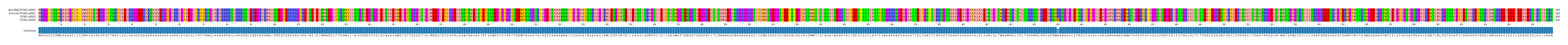 Multiple Alignments (by translate haplotype similarity)