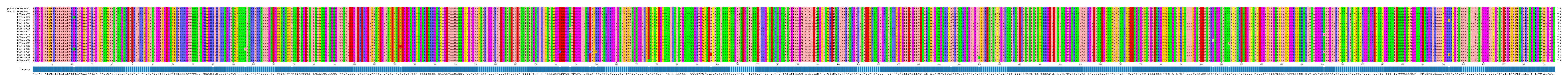 Multiple Alignments (by translate haplotype frequency)