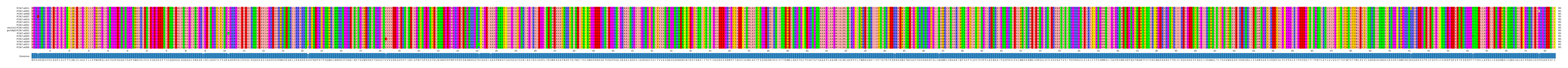 Multiple Alignments (by translate haplotype similarity)
