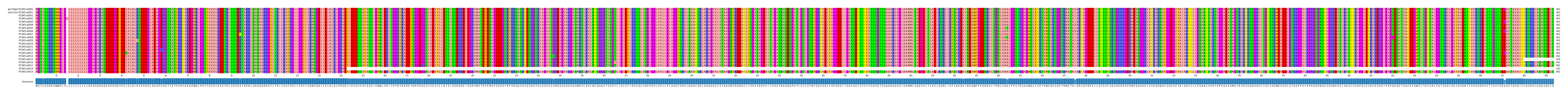 Multiple Alignments (by translate haplotype frequency)