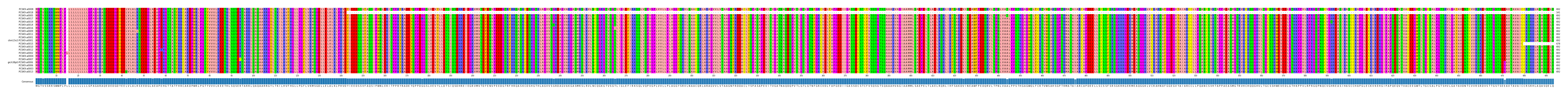 Multiple Alignments (by translate haplotype similarity)