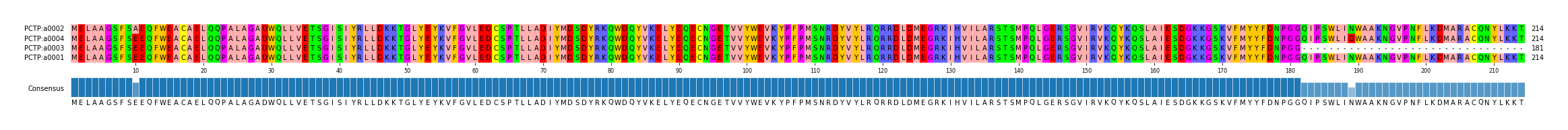Multiple Alignments (by translate haplotype similarity)