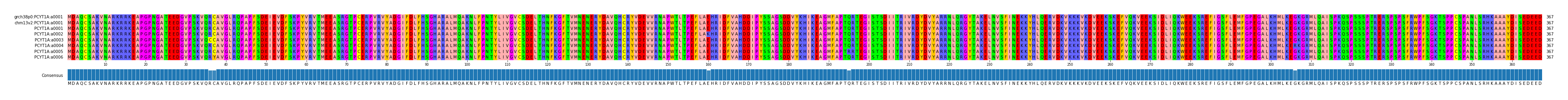 Multiple Alignments (by translate haplotype frequency)