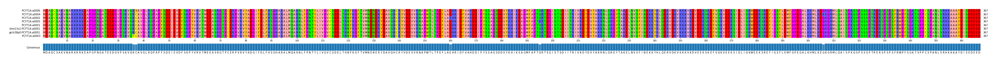 Multiple Alignments (by translate haplotype similarity)