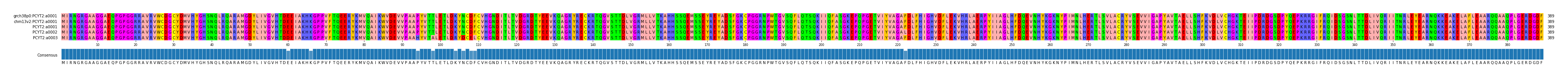 Multiple Alignments (by translate haplotype frequency)
