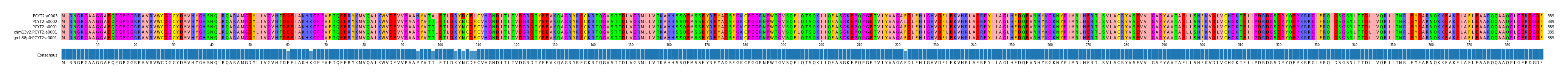 Multiple Alignments (by translate haplotype similarity)