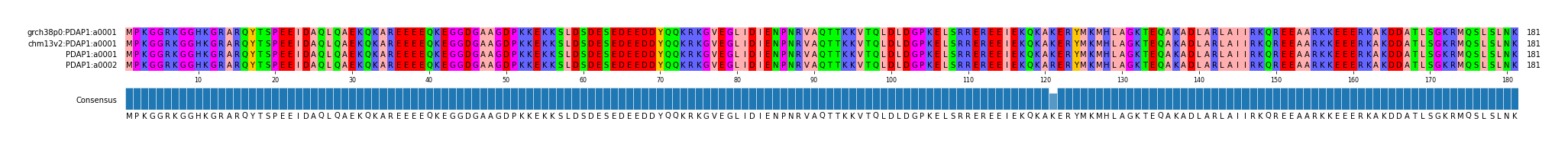 Multiple Alignments (by translate haplotype similarity)