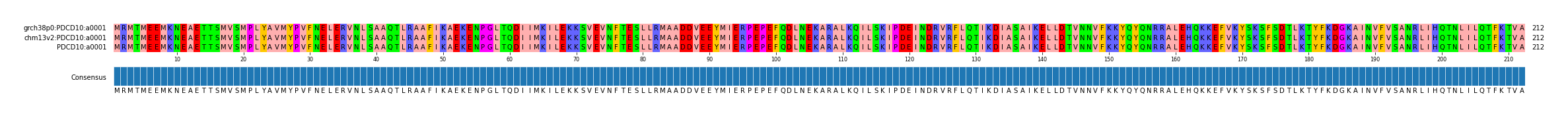 Multiple Alignments (by translate haplotype similarity)