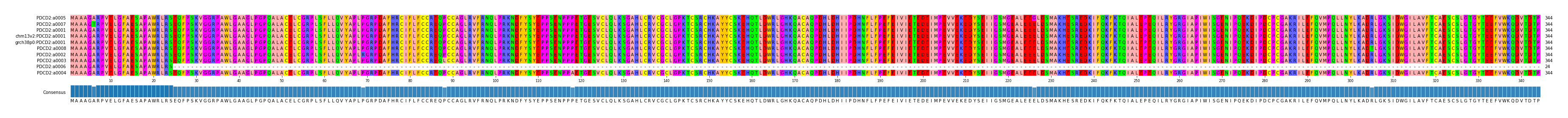 Multiple Alignments (by translate haplotype similarity)