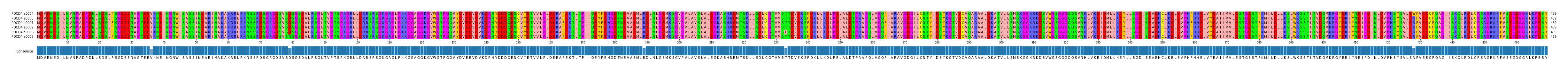 Multiple Alignments (by translate haplotype similarity)