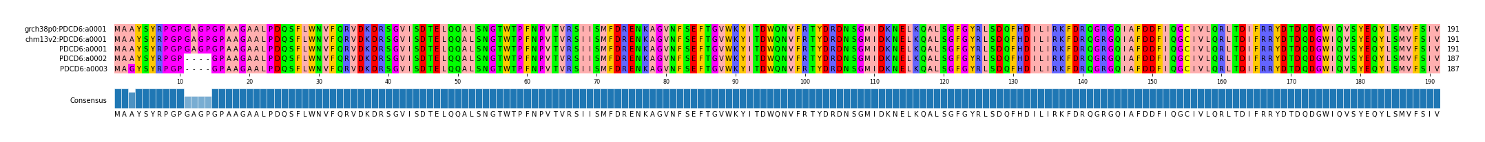 Multiple Alignments (by translate haplotype frequency)