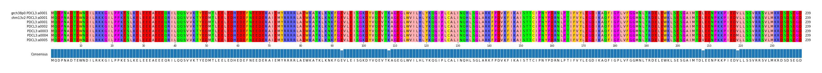 Multiple Alignments (by translate haplotype frequency)