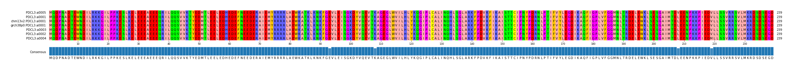 Multiple Alignments (by translate haplotype similarity)