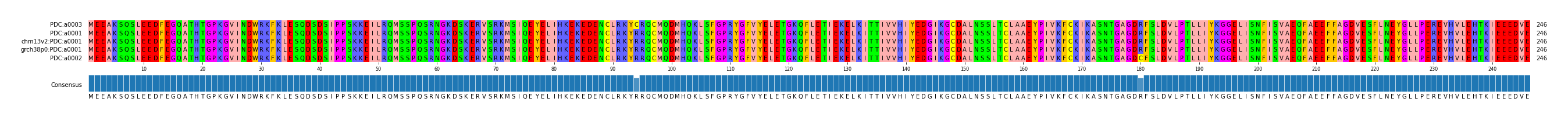 Multiple Alignments (by translate haplotype similarity)