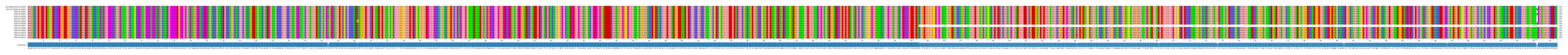 Multiple Alignments (by translate haplotype frequency)