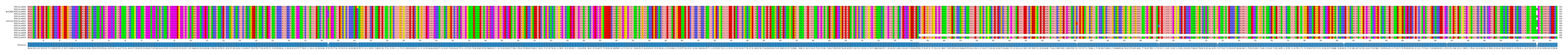 Multiple Alignments (by translate haplotype similarity)