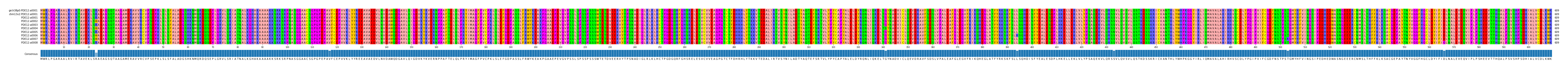 Multiple Alignments (by translate haplotype frequency)