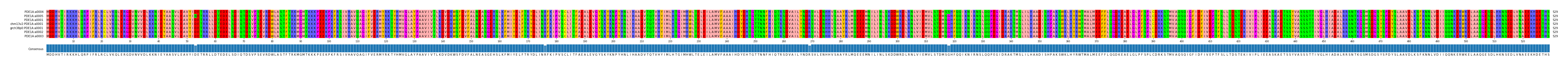 Multiple Alignments (by translate haplotype similarity)