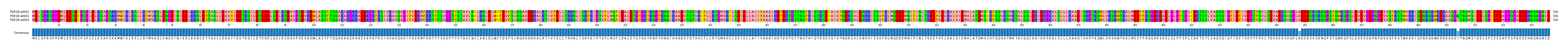 Multiple Alignments (by translate haplotype frequency)