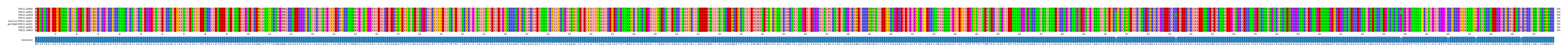 Multiple Alignments (by translate haplotype similarity)