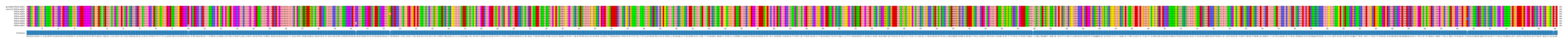 Multiple Alignments (by translate haplotype frequency)