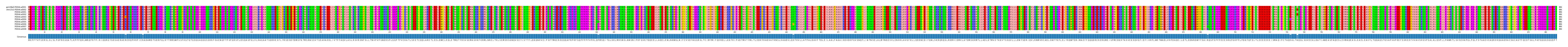 Multiple Alignments (by translate haplotype frequency)