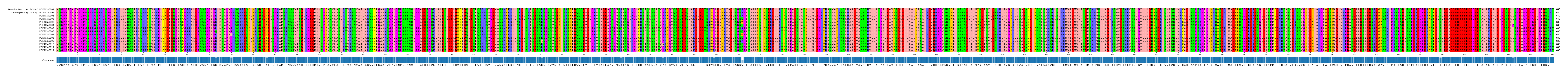 Multiple Alignments (by translate haplotype frequency)