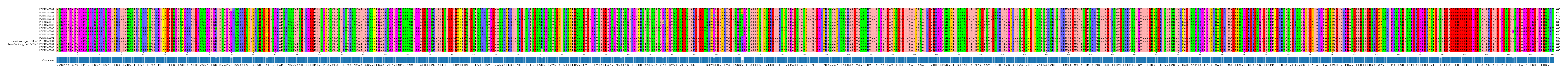 Multiple Alignments (by translate haplotype similarity)