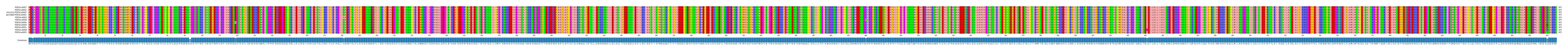 Multiple Alignments (by translate haplotype similarity)