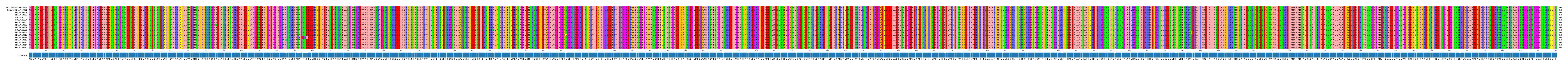 Multiple Alignments (by translate haplotype frequency)