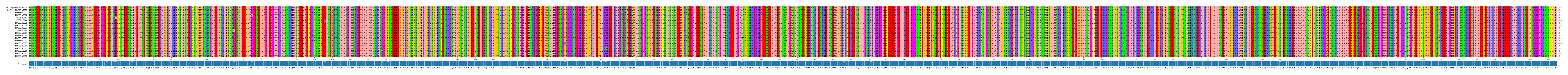 Multiple Alignments (by translate haplotype frequency)