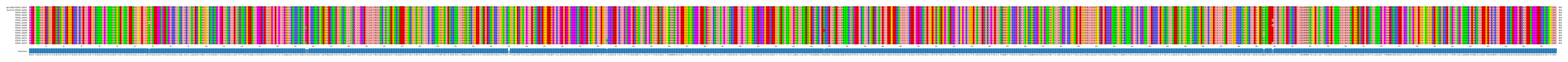 Multiple Alignments (by translate haplotype frequency)