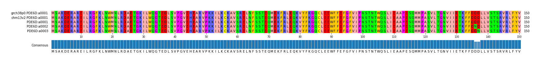 Multiple Alignments (by translate haplotype frequency)