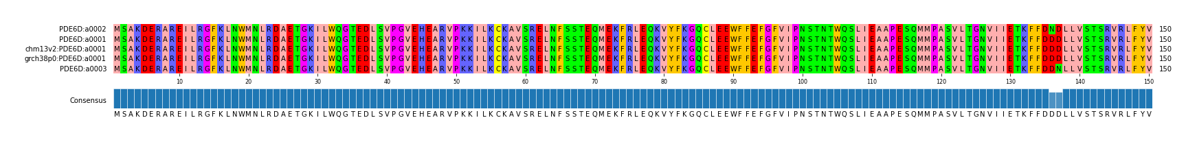 Multiple Alignments (by translate haplotype similarity)