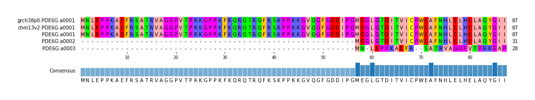 Multiple Alignments (by translate haplotype similarity)