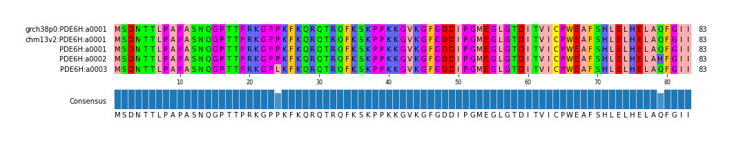 Multiple Alignments (by translate haplotype frequency)