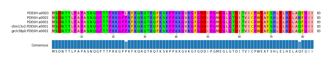 Multiple Alignments (by translate haplotype similarity)