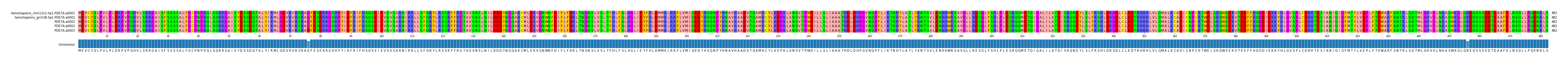 Multiple Alignments (by translate haplotype frequency)