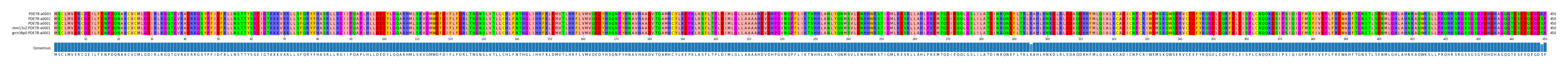 Multiple Alignments (by translate haplotype similarity)