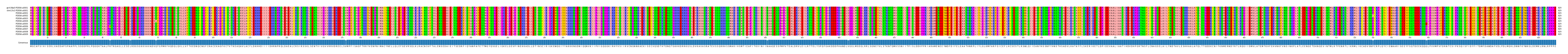 Multiple Alignments (by translate haplotype frequency)