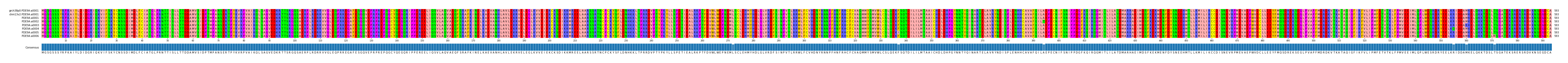 Multiple Alignments (by translate haplotype frequency)