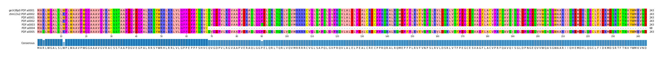 Multiple Alignments (by translate haplotype frequency)