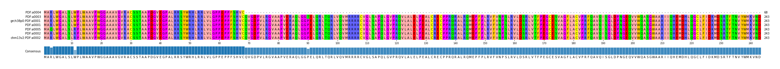 Multiple Alignments (by translate haplotype similarity)
