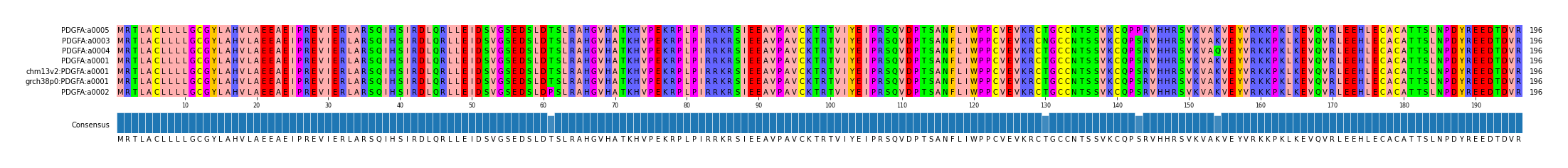 Multiple Alignments (by translate haplotype similarity)