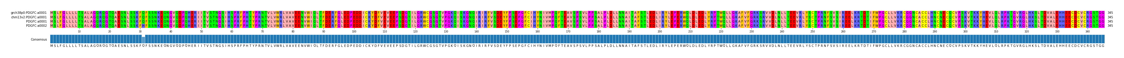 Multiple Alignments (by translate haplotype similarity)