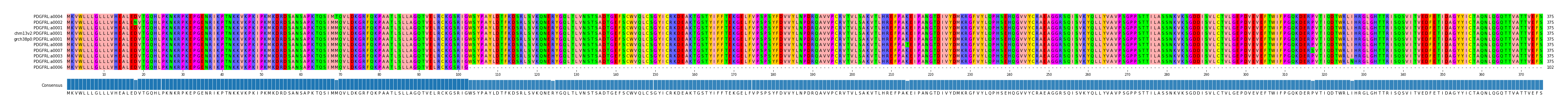 Multiple Alignments (by translate haplotype similarity)