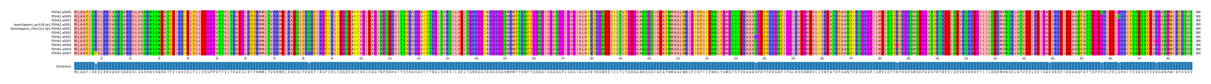 Multiple Alignments (by translate haplotype similarity)